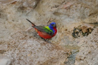 South Llano River SP 06-09-08 1097