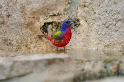 South Llano River SP 06-09-08 1106