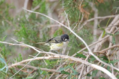 South Llano River SP 06-09-08 1121