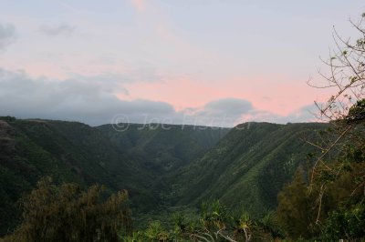 Hawaii 06-18-08 0184