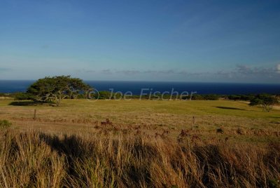 Hawaii 06-18-08 0214