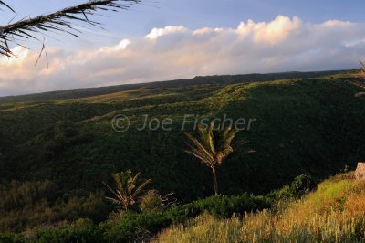 Hawaii 06-18-08 0223