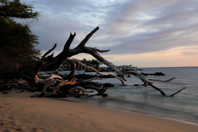 Hawaii 06-18-08 0325