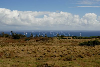 Hawaii 06-19-08 0521