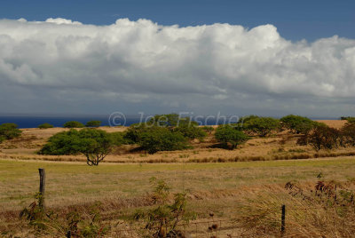 Hawaii 06-19-08 0525