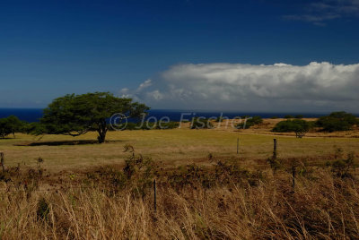 Hawaii 06-19-08 0526