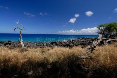 Hawaii 06-19-08 0546