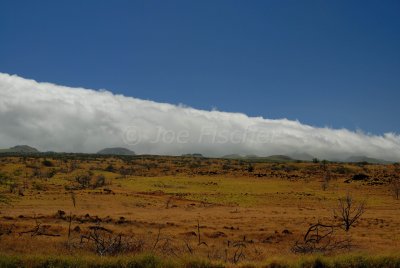Hawaii 06-19-08 0567