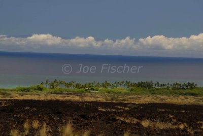 Hawaii 06-19-08 0592