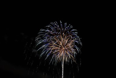 g5/49/778549/3/99721972.xX32yw5Y.jpg