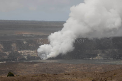 Hawaii 06-20-08 0798