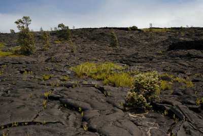 Hawaii 06-20-08 0803