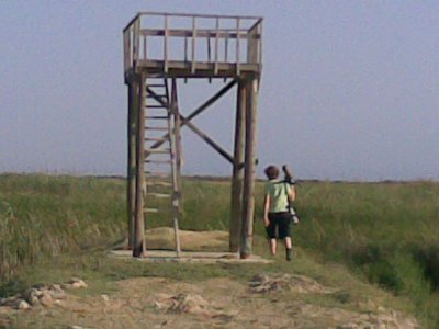 Tomas is checking out the Tower...