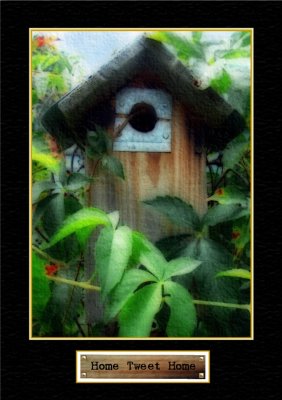Birdhouse - Version 1