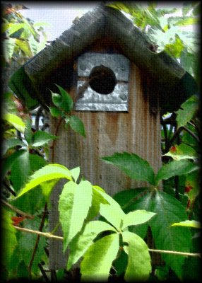 Birdhouse - Version 3
