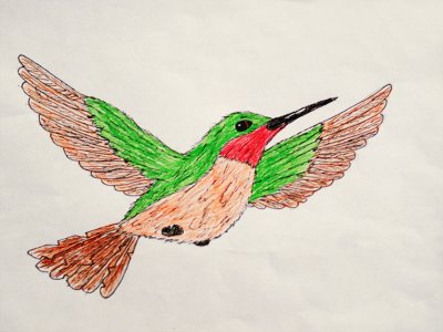 Hummingbird by Sammy