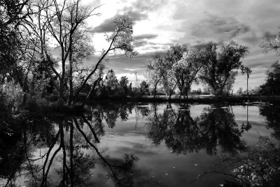 infra red pond.jpg