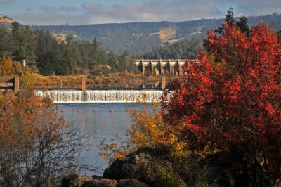 Fish ladder on Feather River.jpg