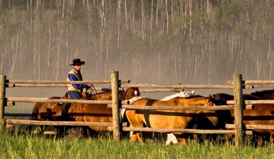 home_ranch