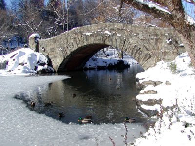 P1010042.JPG
