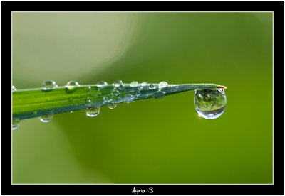 g5/49/880349/3/105578558.NRopuRXP.jpg