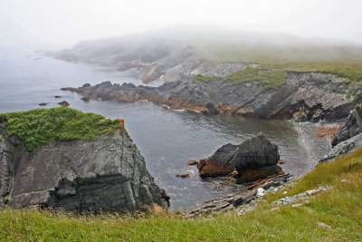 Newfoundland