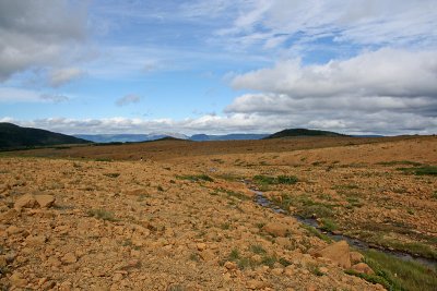 Newfoundland