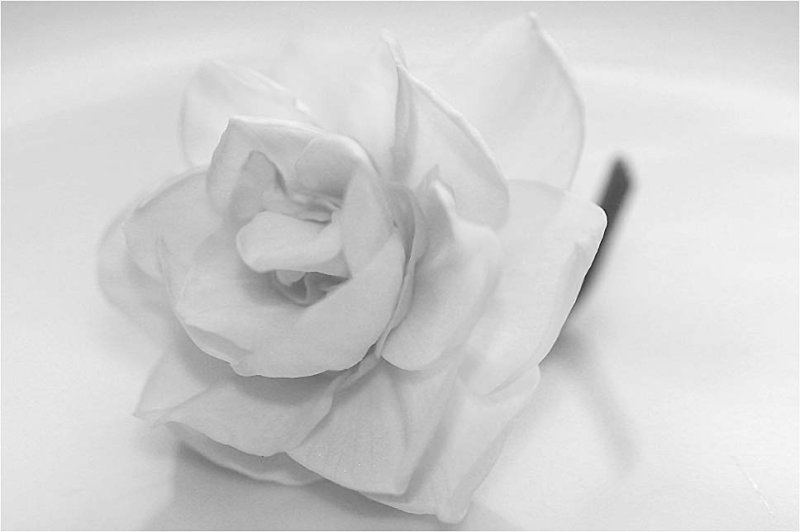 CHALLENGE - White on white