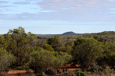 Outback colour