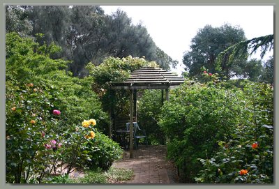 Gazebo in the rose garden - early spring