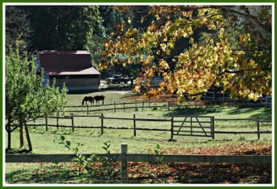 Fall comes to the farm.