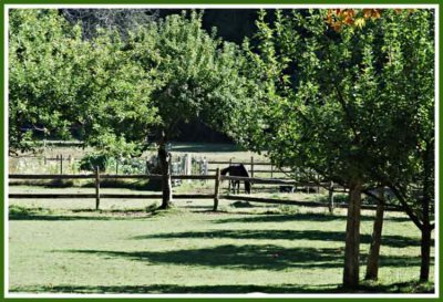The farmyard.
