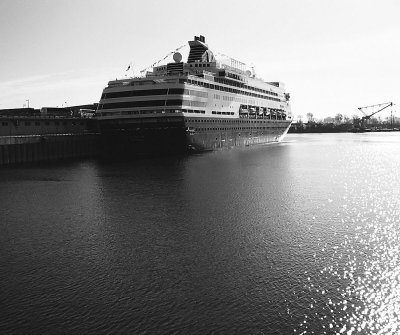 A big one in the Old Port: The Maasdam