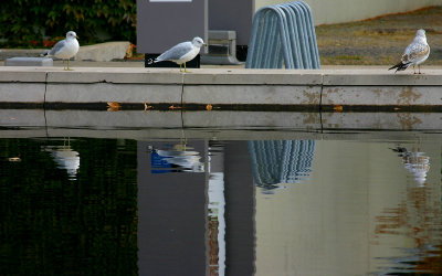 IMG_0116G.jpg