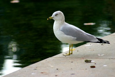 IMG_0102H.jpg