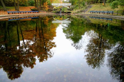 Autumn reflection