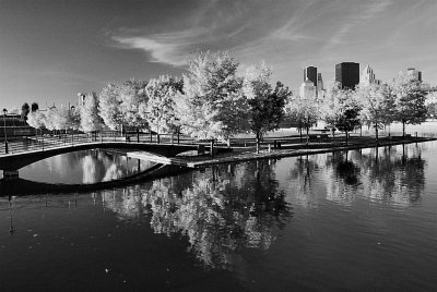 Reflection d'automne