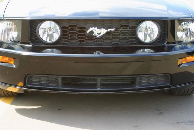 Mustang Power