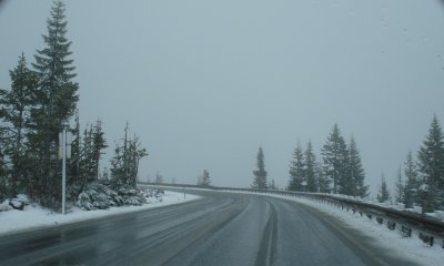 Ascending Timberline Access Road, Mt. Hood