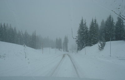 Descending Timberline Access Road, Mt. Hood
