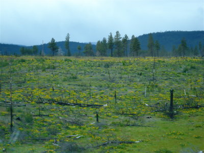 Warm Springs Indian Reservation