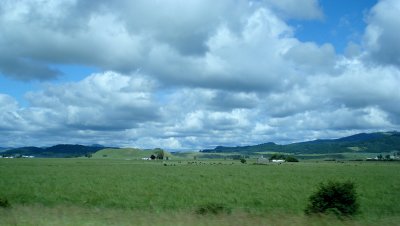 View from I-5, north of Eugene