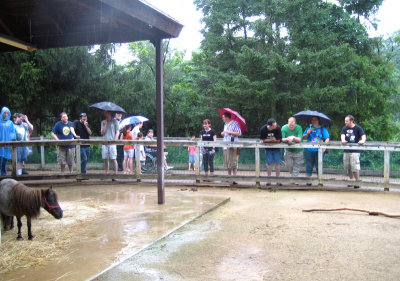 Binder Park Zoo Furmeet 7/19/08