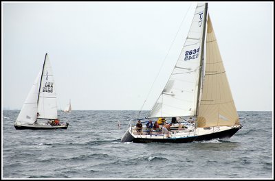 IMG_4307.jpg