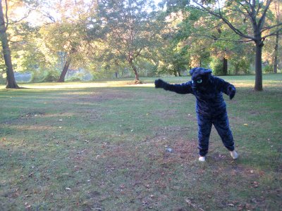 Frisbee