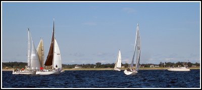 IMG_8235.jpg