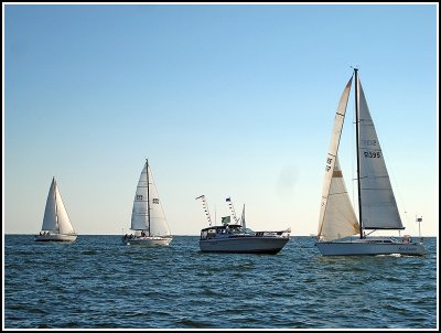 IMG_8237.jpg