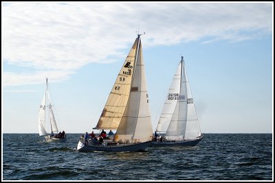IMG_8242.jpg