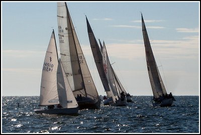 IMG_8247.jpg