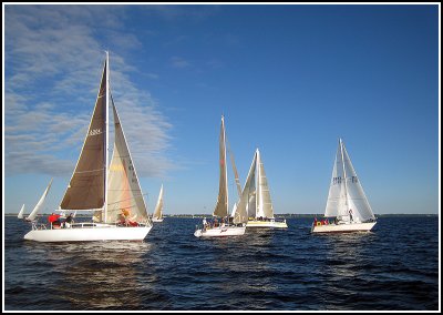 IMG_8258.jpg